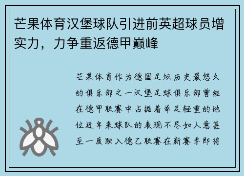 芒果体育汉堡球队引进前英超球员增实力，力争重返德甲巅峰
